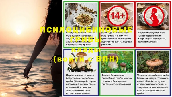твердый Абаза
