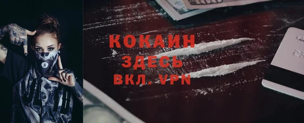 стаф Козловка
