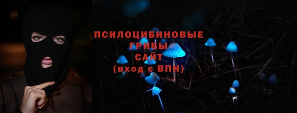 мдпв Козельск