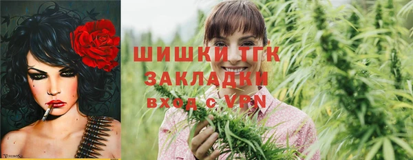 твердый Абаза