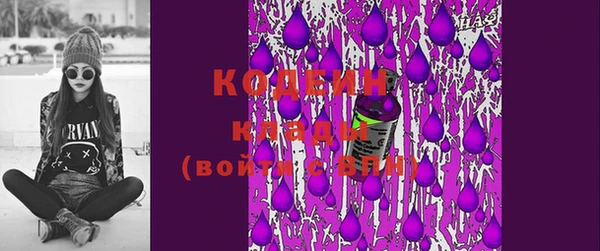 мдпв Козельск