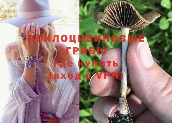 твердый Абаза