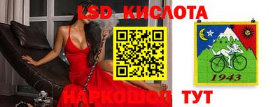 СК Славгород
