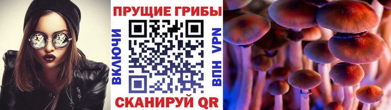 купить наркоту  Стерлитамак  Псилоцибиновые грибы ЛСД 