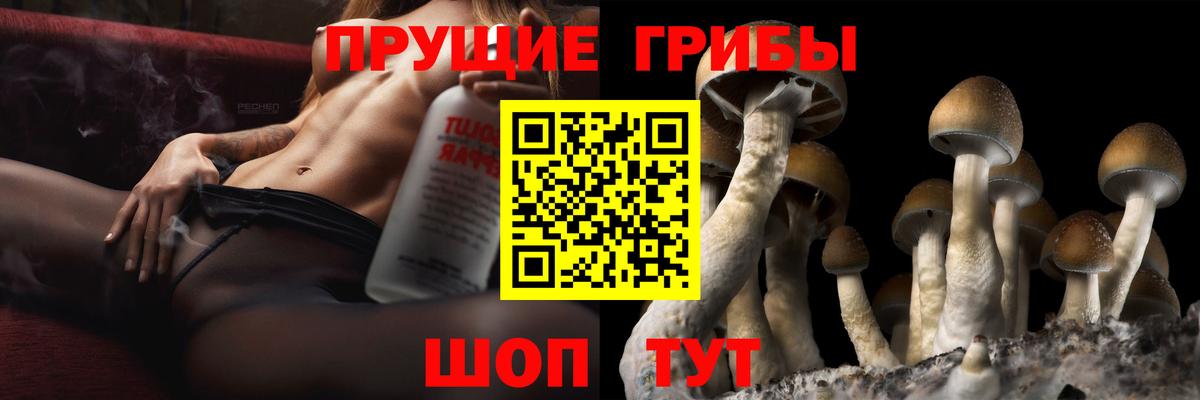 Стерлитамак  Псилоцибиновые грибы Psilocybe  Вход с VPN 