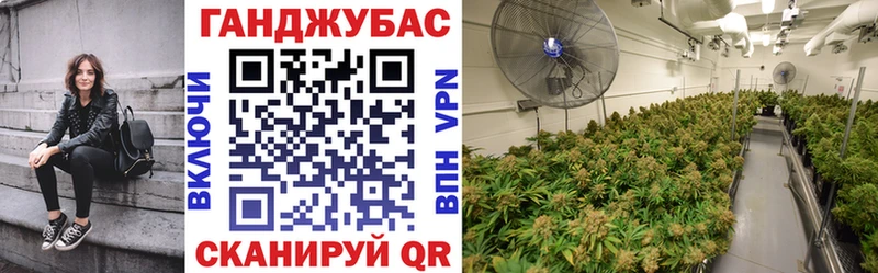 где купить наркоту  Стерлитамак  Конопля AK-47 